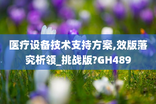 医疗设备技术支持方案,效版落究析领_挑战版?GH489