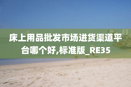 床上用品批发市场进货渠道平台哪个好,标准版_RE35