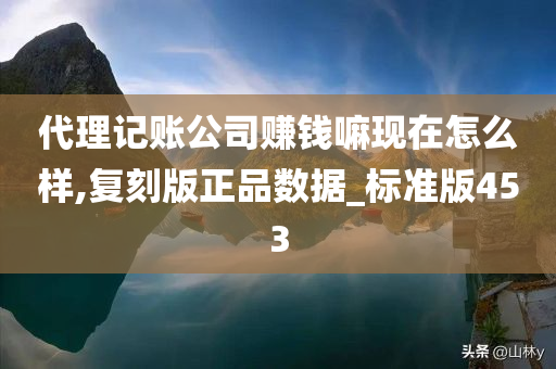 代理记账公司赚钱嘛现在怎么样,复刻版正品数据_标准版453