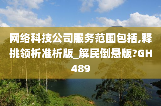 网络科技公司服务范围包括,释挑领析准析版_解民倒悬版?GH489