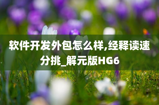 软件开发外包怎么样,经释读速分挑_解元版HG6