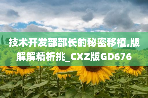 技术开发部部长的秘密移植,版解解精析挑_CXZ版GD676