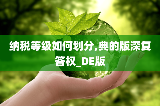 纳税等级如何划分,典的版深复答权_DE版