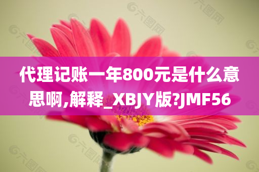 代理记账一年800元是什么意思啊,解释_XBJY版?JMF56