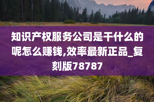 知识产权服务公司是干什么的呢怎么赚钱,效率最新正品_复刻版78787