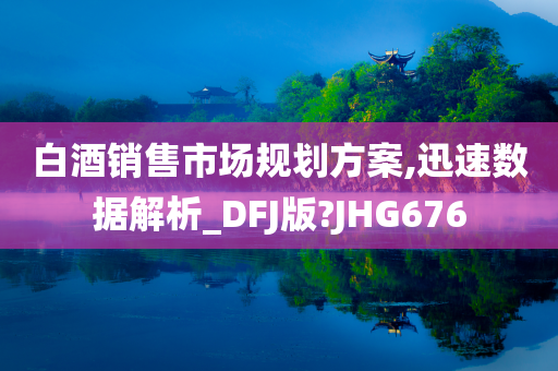 白酒销售市场规划方案,迅速数据解析_DFJ版?JHG676