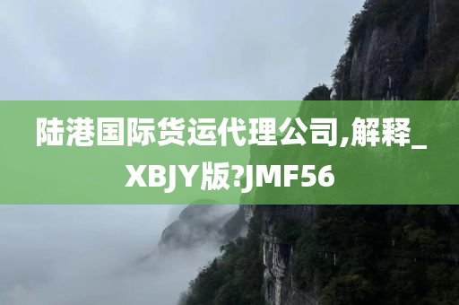 陆港国际货运代理公司,解释_XBJY版?JMF56