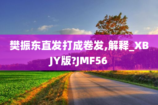 樊振东直发打成卷发,解释_XBJY版?JMF56