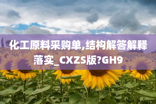 化工原料采购单,结构解答解释落实_CXZS版?GH9