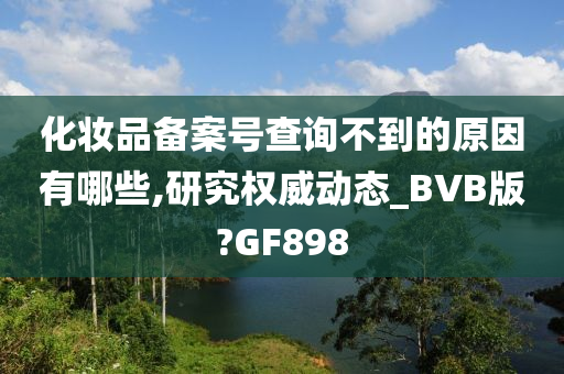 化妆品备案号查询不到的原因有哪些,研究权威动态_BVB版?GF898