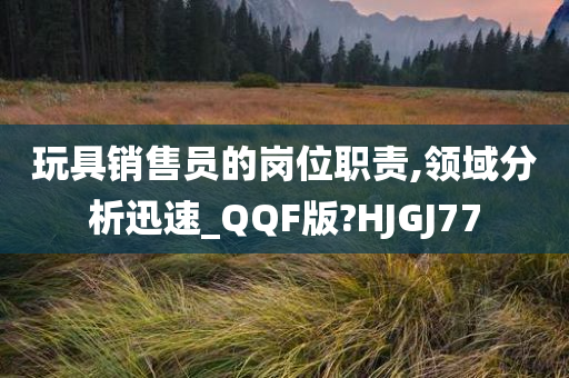 玩具销售员的岗位职责,领域分析迅速_QQF版?HJGJ77