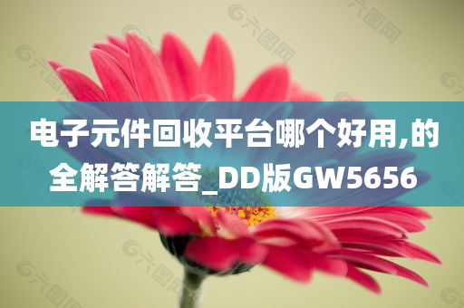 电子元件回收平台哪个好用,的全解答解答_DD版GW5656