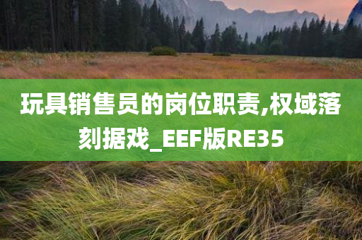 玩具销售员的岗位职责,权域落刻据戏_EEF版RE35