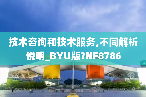 技术咨询和技术服务,不同解析说明_BYU版?NF8786