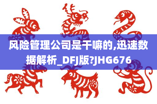 风险管理公司是干嘛的,迅速数据解析_DFJ版?JHG676