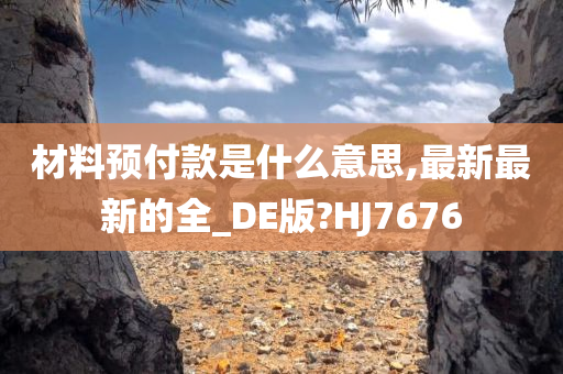 材料预付款是什么意思,最新最新的全_DE版?HJ7676