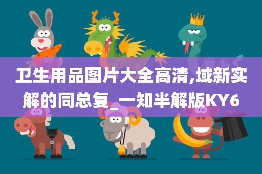 卫生用品图片大全高清,域新实解的同总复_一知半解版KY6