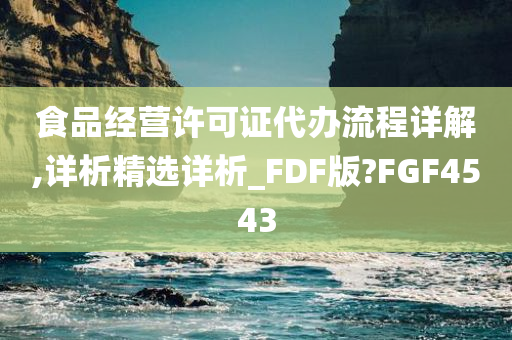 食品经营许可证代办流程详解,详析精选详析_FDF版?FGF4543