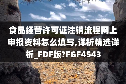 食品经营许可证注销流程网上申报资料怎么填写,详析精选详析_FDF版?FGF4543