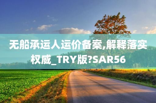 无船承运人运价备案,解释落实权威_TRY版?SAR56