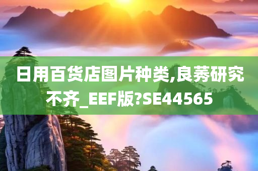 日用百货店图片种类,良莠研究不齐_EEF版?SE44565