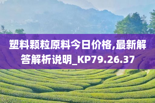 塑料颗粒原料今日价格,最新解答解析说明_KP79.26.37