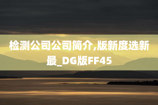 检测公司公司简介,版新度选新最_DG版FF45