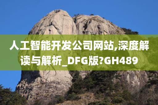 人工智能开发公司网站,深度解读与解析_DFG版?GH489