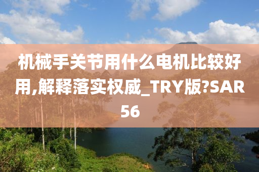 机械手关节用什么电机比较好用,解释落实权威_TRY版?SAR56