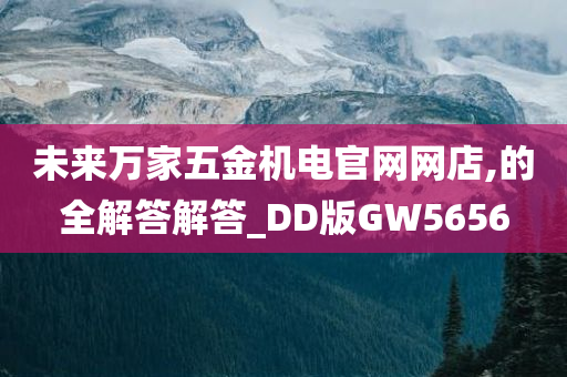 未来万家五金机电官网网店,的全解答解答_DD版GW5656