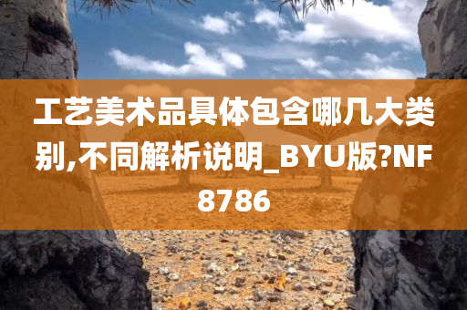 工艺美术品具体包含哪几大类别,不同解析说明_BYU版?NF8786