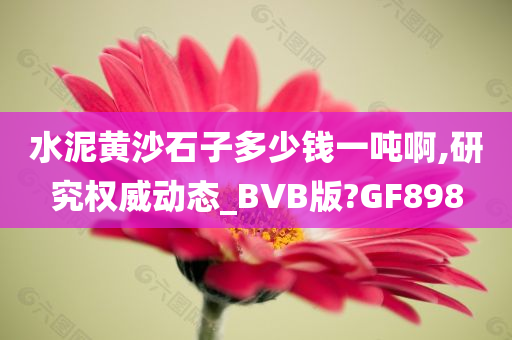 水泥黄沙石子多少钱一吨啊,研究权威动态_BVB版?GF898